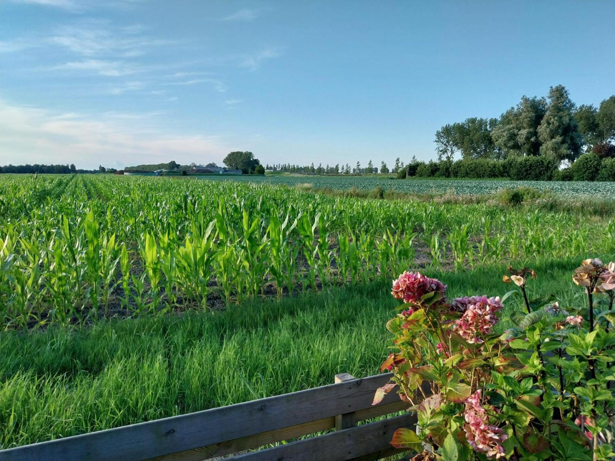 Vakantiewoning Hem Exteriör bild